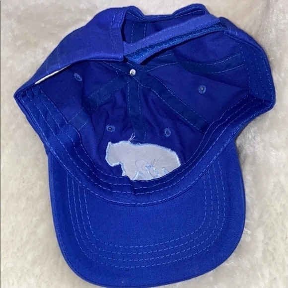 Arrowhead park  kids blue baseball hat - Picture 3 of 5